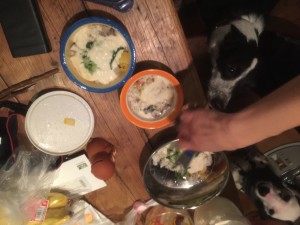 犬のご飯