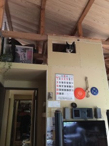 部屋からの眺め