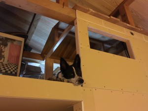 三角屋根の犬小屋